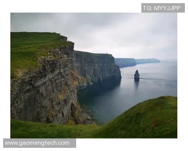 新西兰与爱尔兰激战在即谁能在这场对决中笑到最后